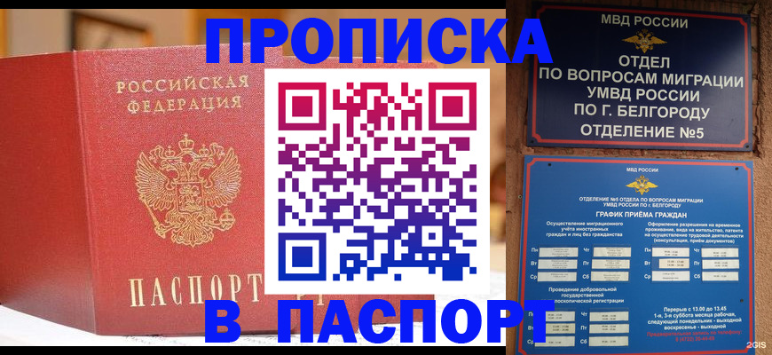 временная регистрация в квартире в Фокино